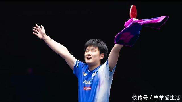 日本乒乓球队轻取波兰乒乓球队，张本智和制霸全场的简单介绍