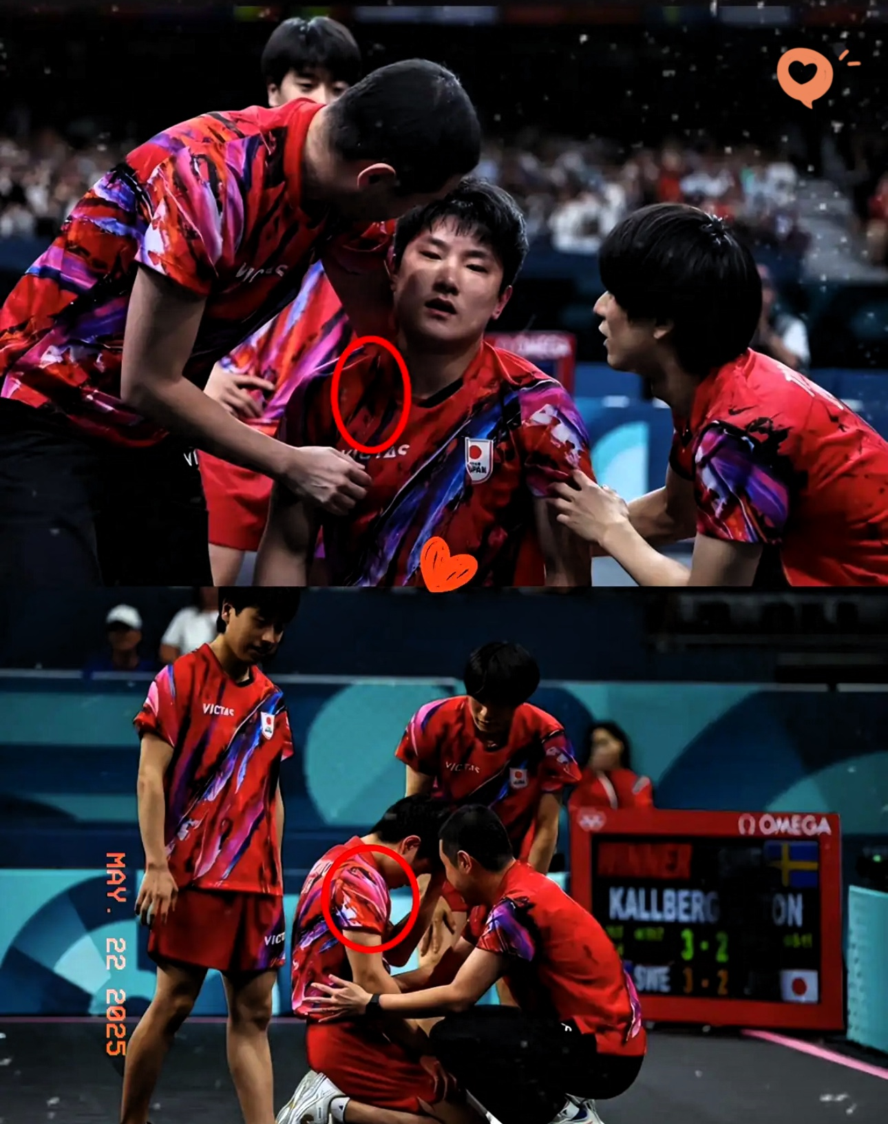 日本乒乓球队轻取波兰乒乓球队，张本智和制霸全场的简单介绍