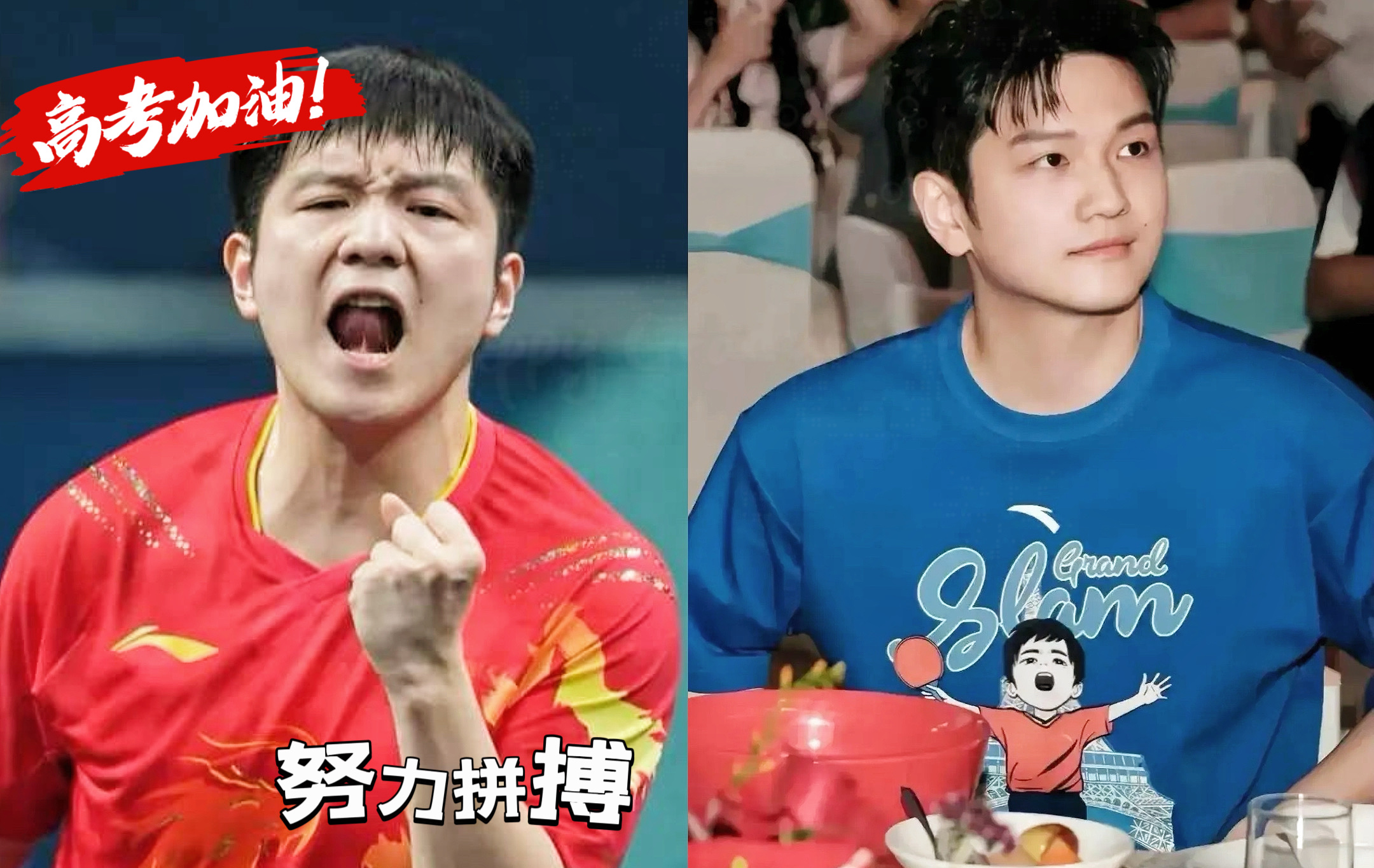 关于日本乒乓球队轻取韩国乒乓球队,樊振东完成帽子戏法的信息 关于日本乒乓球队轻取韩国乒乓球队,樊振东完成帽子戏法的信息