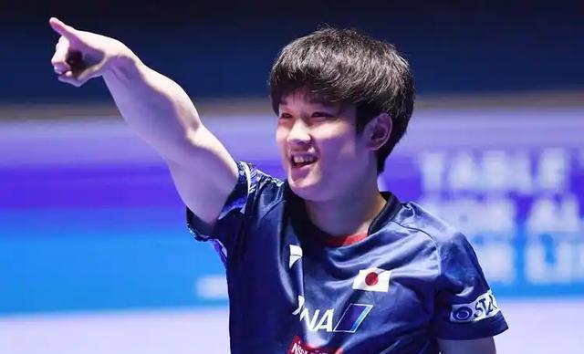 葡萄牙队力克韩国队，张本智和高光表现的简单介绍