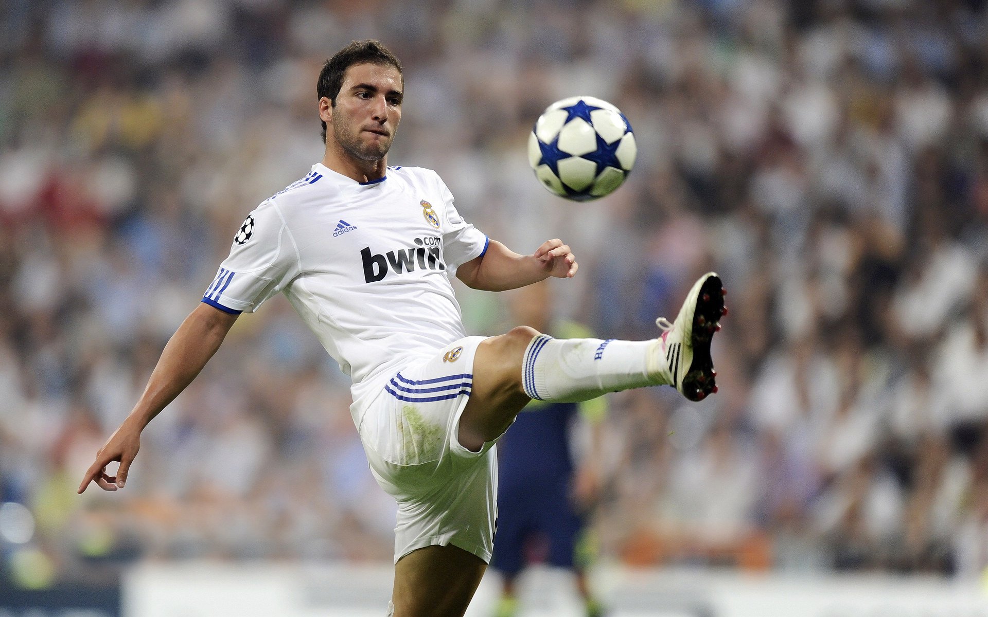 当红龙咆哮,威尔士的生死战与伯纳乌的欧冠之夜