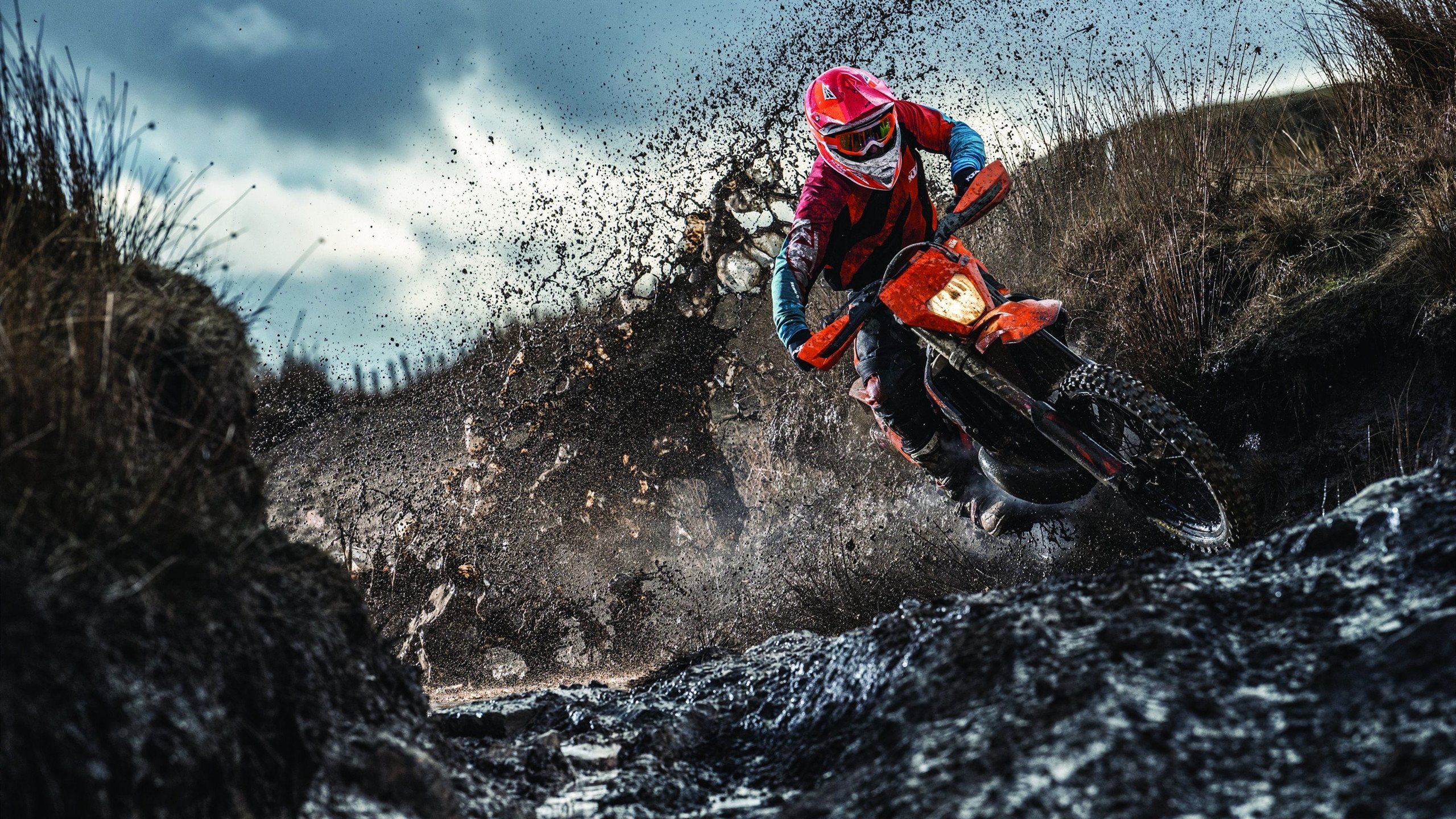 梁靖崑独挑大梁,德国队鏖战中国队见证国乒新锐崛起